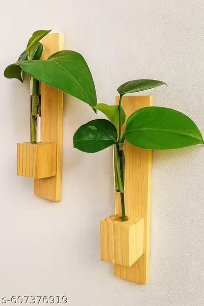 Ancient Shoppee Test Tube Wall Planter