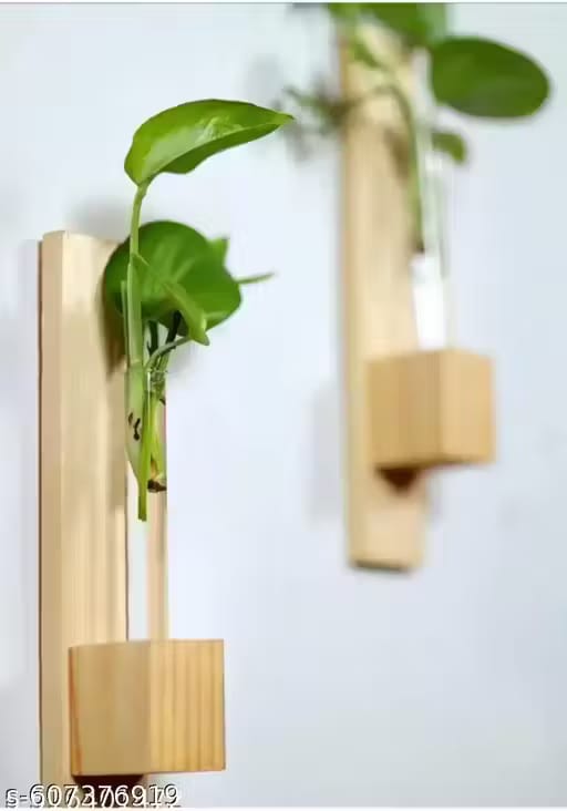 Ancient Shoppee Test Tube Wall Planter